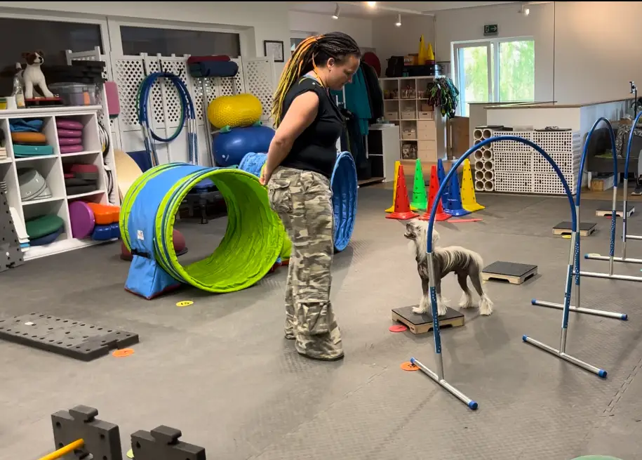 FitnessLoops Parcours